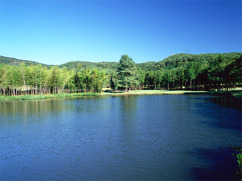 11�ԃz�[���ʐ^